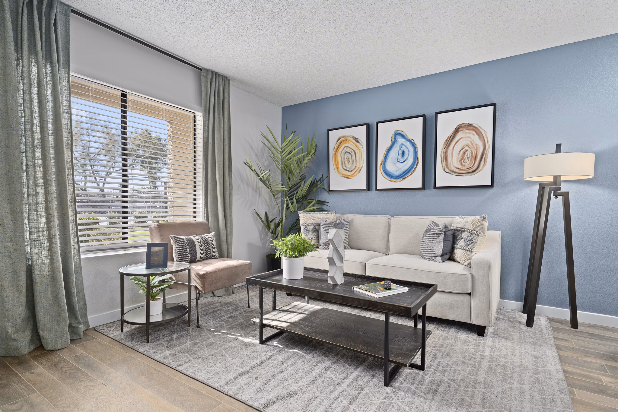 Modern living room with stylish furnishings at Solas Glendale Apartments