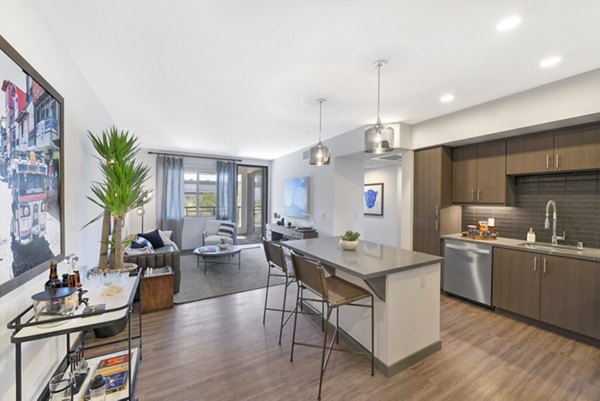 Modern kitchen with stainless steel appliances at Persea Apartments
