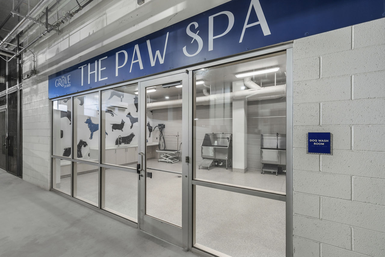 Pet wash at The Grove On Main (1 of 2)