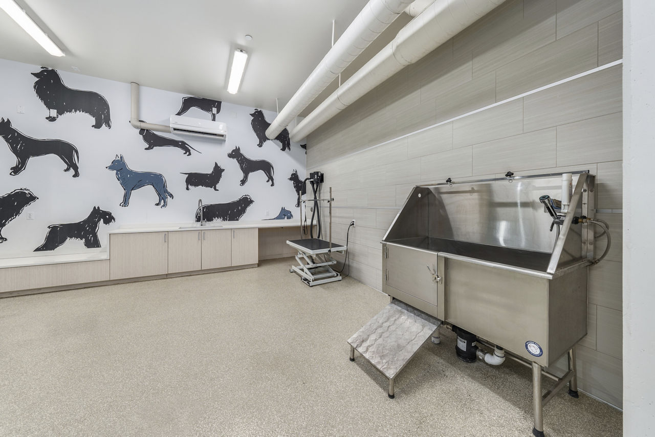Pet wash at The Grove On Main (2 of 2)