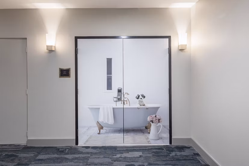 dog wash station at Chelsea Museum District Apartments