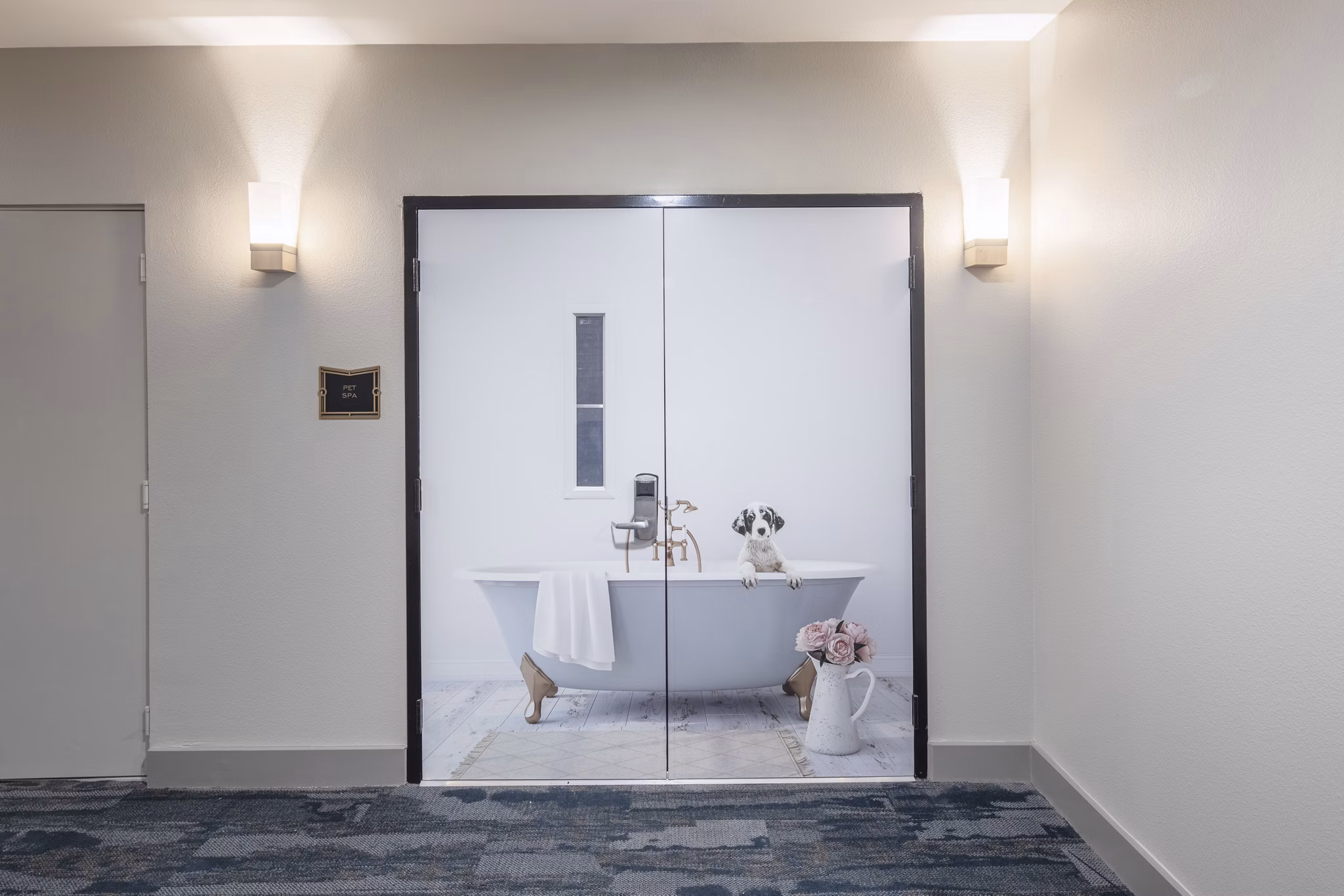 dog wash station at Chelsea Museum District Apartments