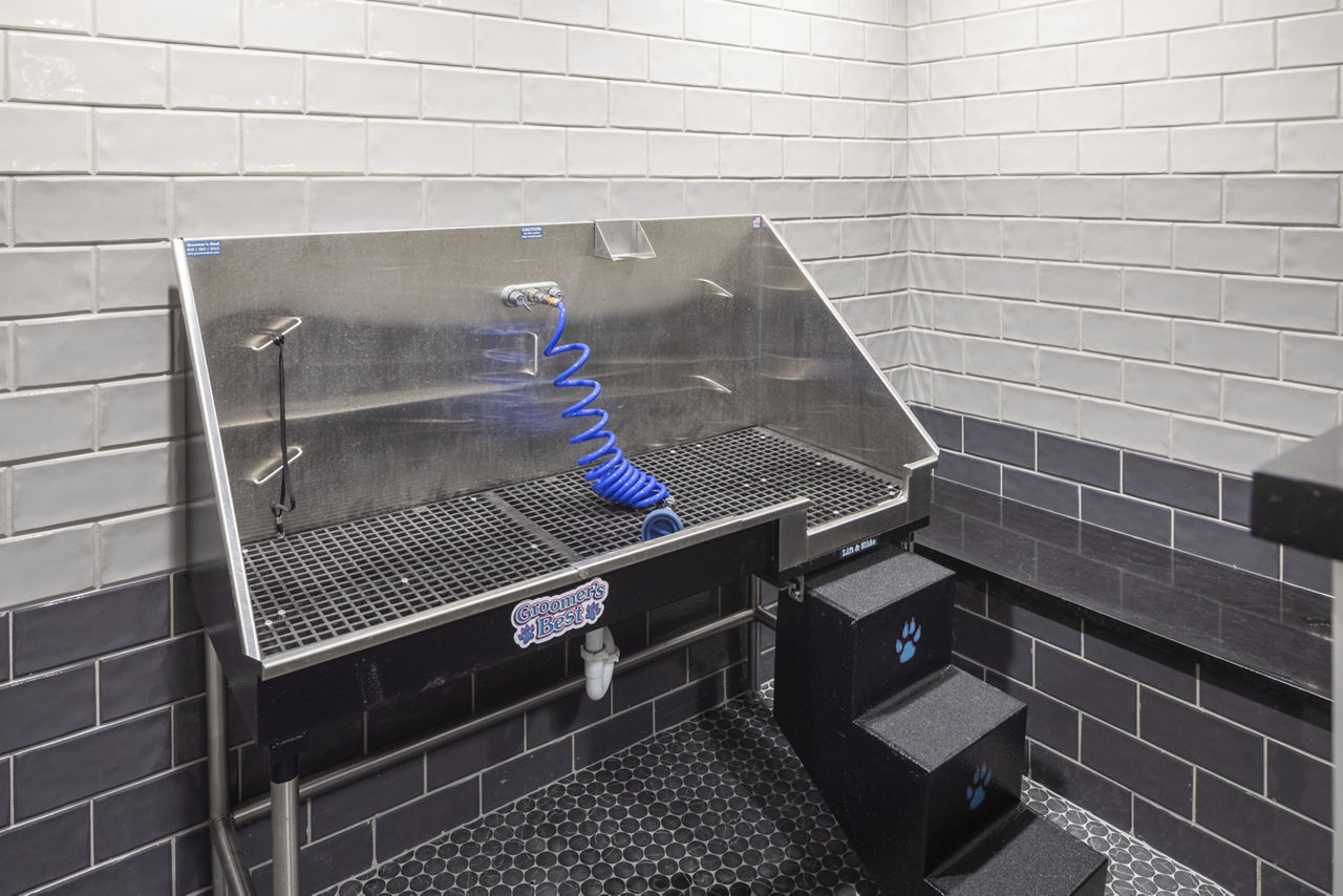 Pet wash at Chelsea Museum District