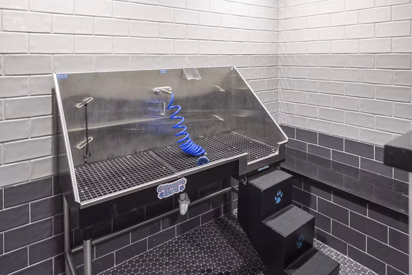 dog wash station at Chelsea Museum District Apartments