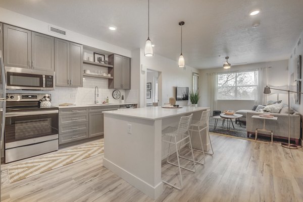 Kitchens with granite countertops and stainless steel appliances in Harmony3900 Apartments