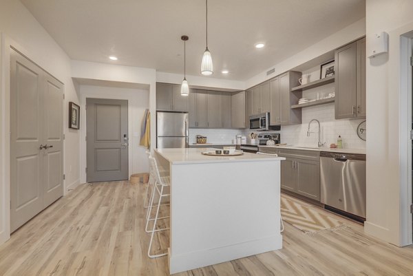 Modern kitchen with stainless steel appliances at Harmony3900 Apartments luxury complex