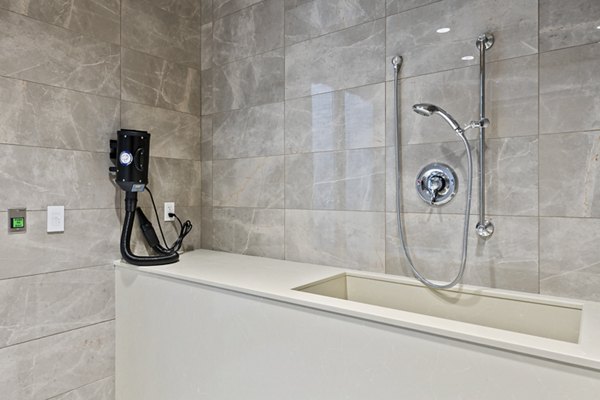 A modern dog wash station with tiled walls at City Creek Landing Apartments, perfect for pet-friendly living in Greystar's luxury community