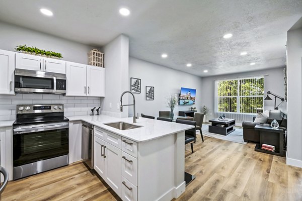 Modern kitchen with stainless steel appliances in Colonial Court Apartments