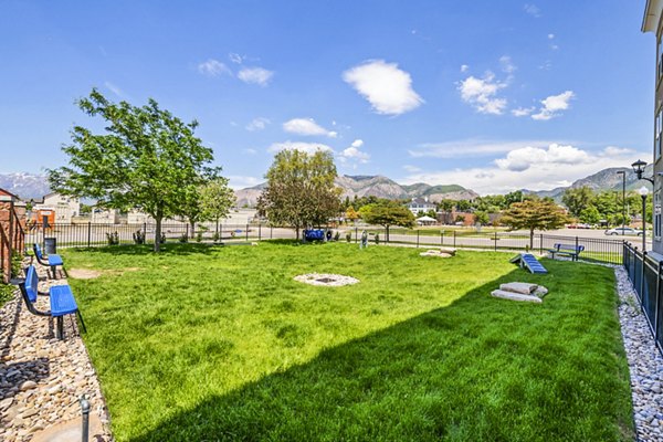Dog park with agility equipment at Colonial Court Apartments, providing a pet-friendly community space for residents to enjoy with their dogs