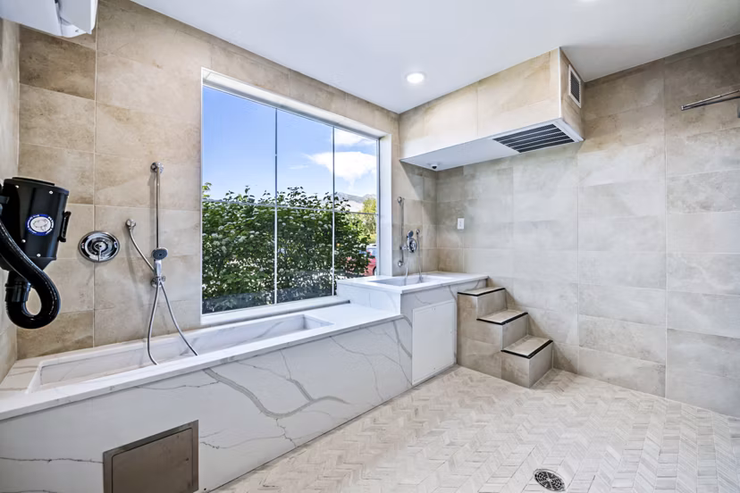 Dog wash station with modern facilities at Colonial Court Apartments, ideal for pet owners looking for luxury living spaces