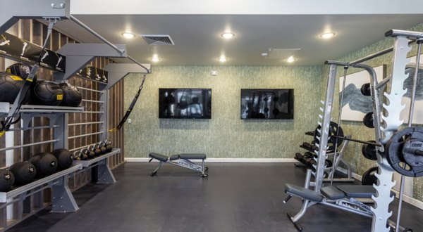 State-of-the-art fitness center with modern equipment at Avana Coronado Apartments