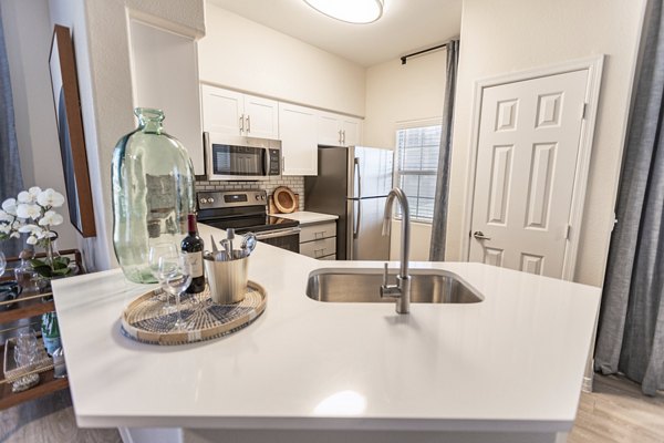 Modern kitchen with stainless steel appliances at Avana Coronado Apartments