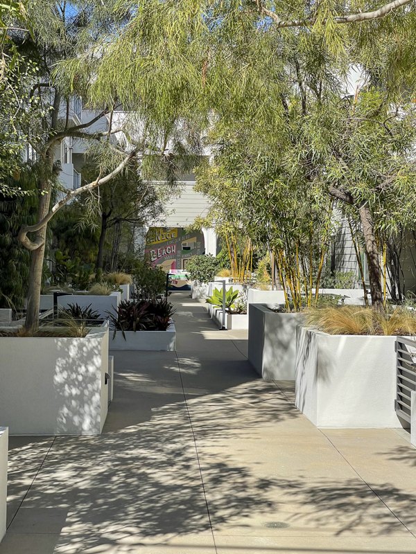 Charming courtyard with lush landscaping at Venice on Rose Apartments