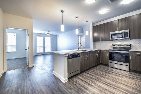 kitchen at The Holston Apartments