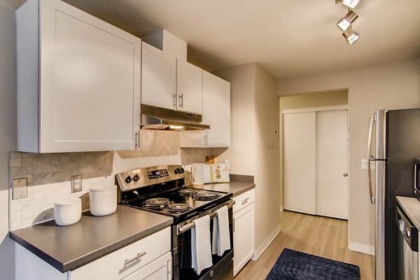 Kitchens with stainless steel appliances in Arterra Apartments, offering luxury living spaces in a modern rental high-rise