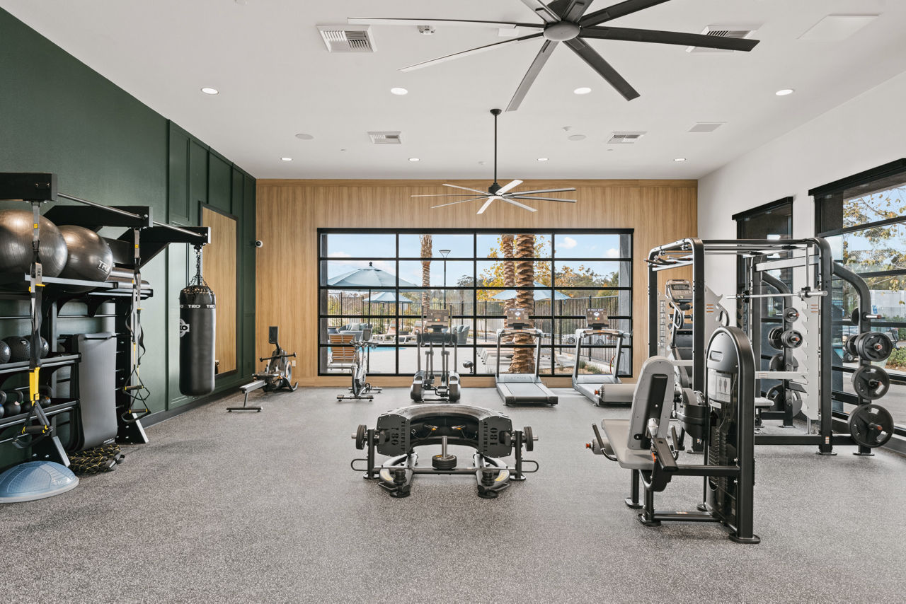 Gym at Ascent At Campus Of Life (4 of 5)