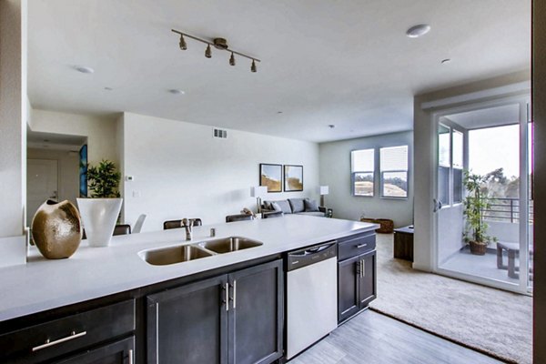 Ascent at Campus of Life Apartments: Modern kitchen with stainless steel appliances and granite countertops
