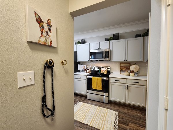Modern kitchen with stainless steel appliances in Grand Villas at Tuscan Lakes Apartments