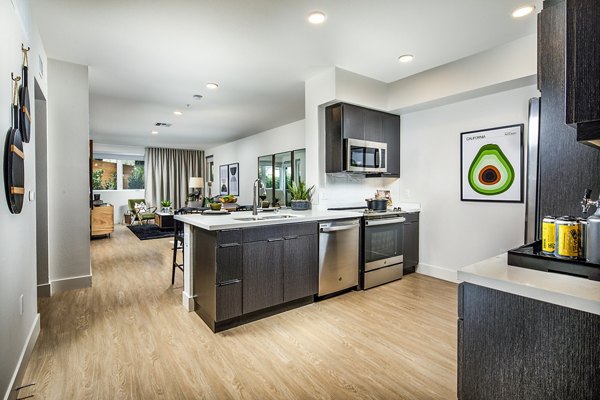 Llewellyn Apartments: Modern kitchen with stainless steel appliances and elegant cabinetry