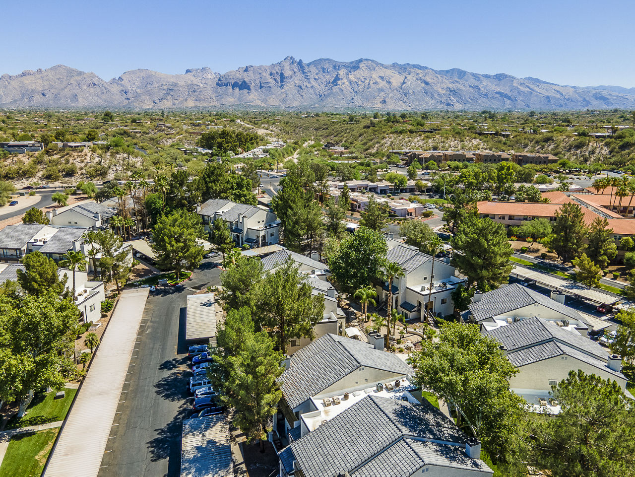 Envii Apartments Tucson Az 2 of 12