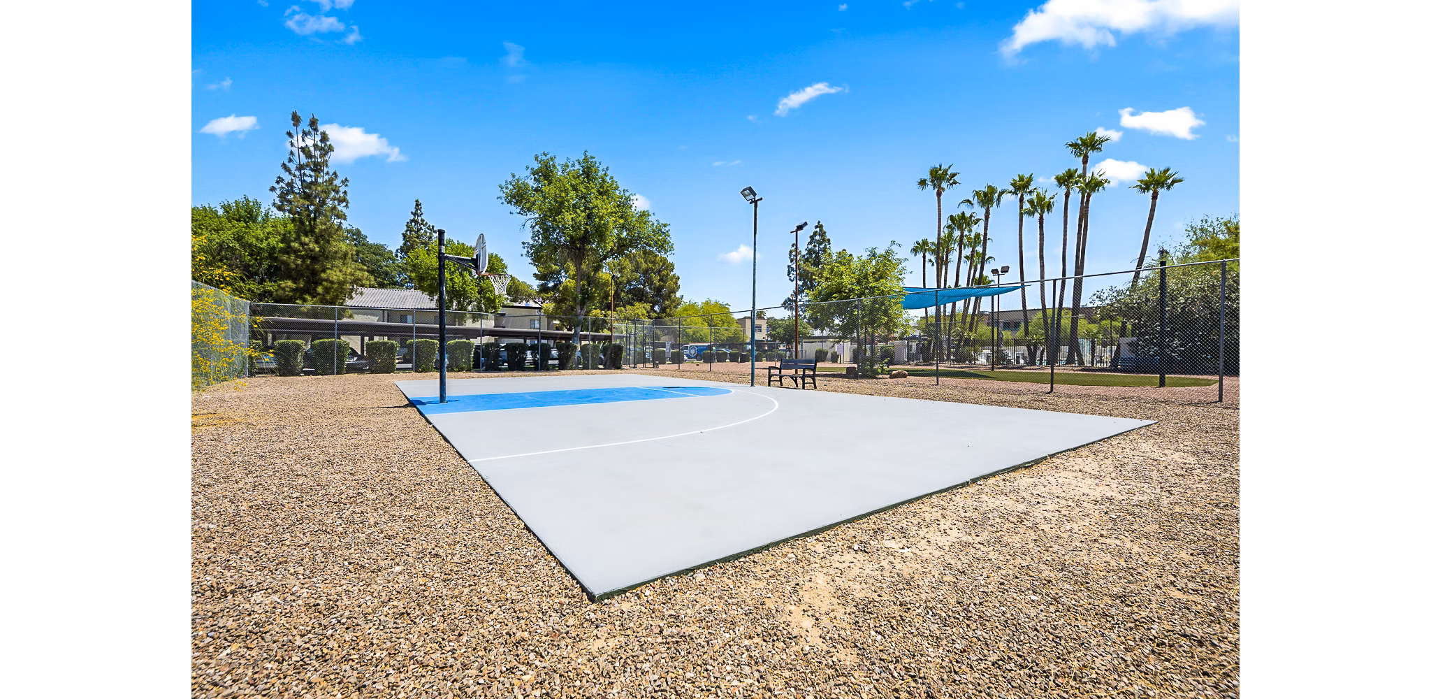 Indoor basketball court featuring modern flooring at ENVii Apartments for active luxury living