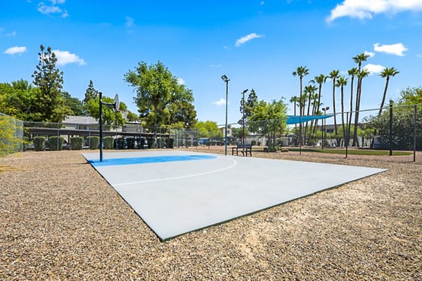 Indoor basketball court featuring modern flooring at ENVii Apartments for active luxury living