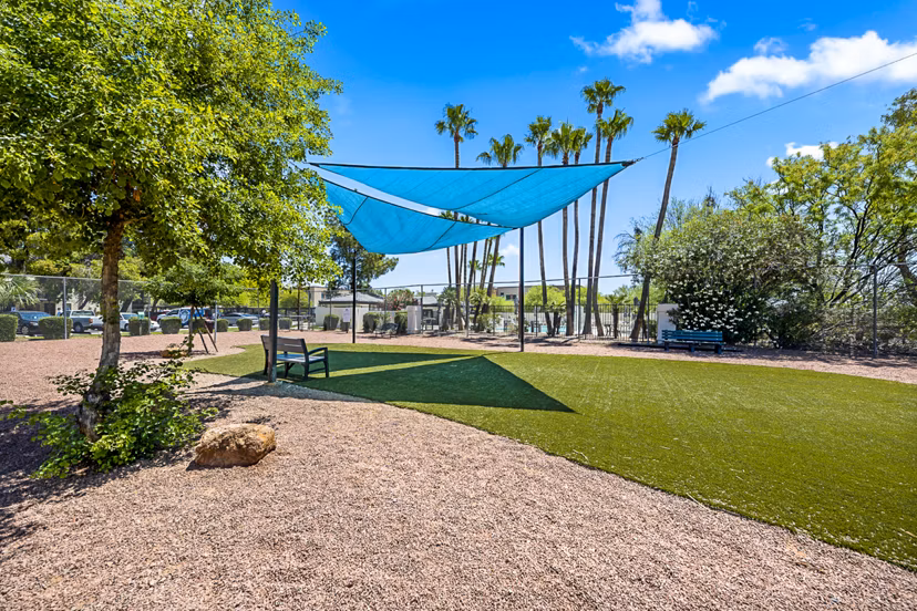 Leash-free dog park with agility course at ENVii Apartments