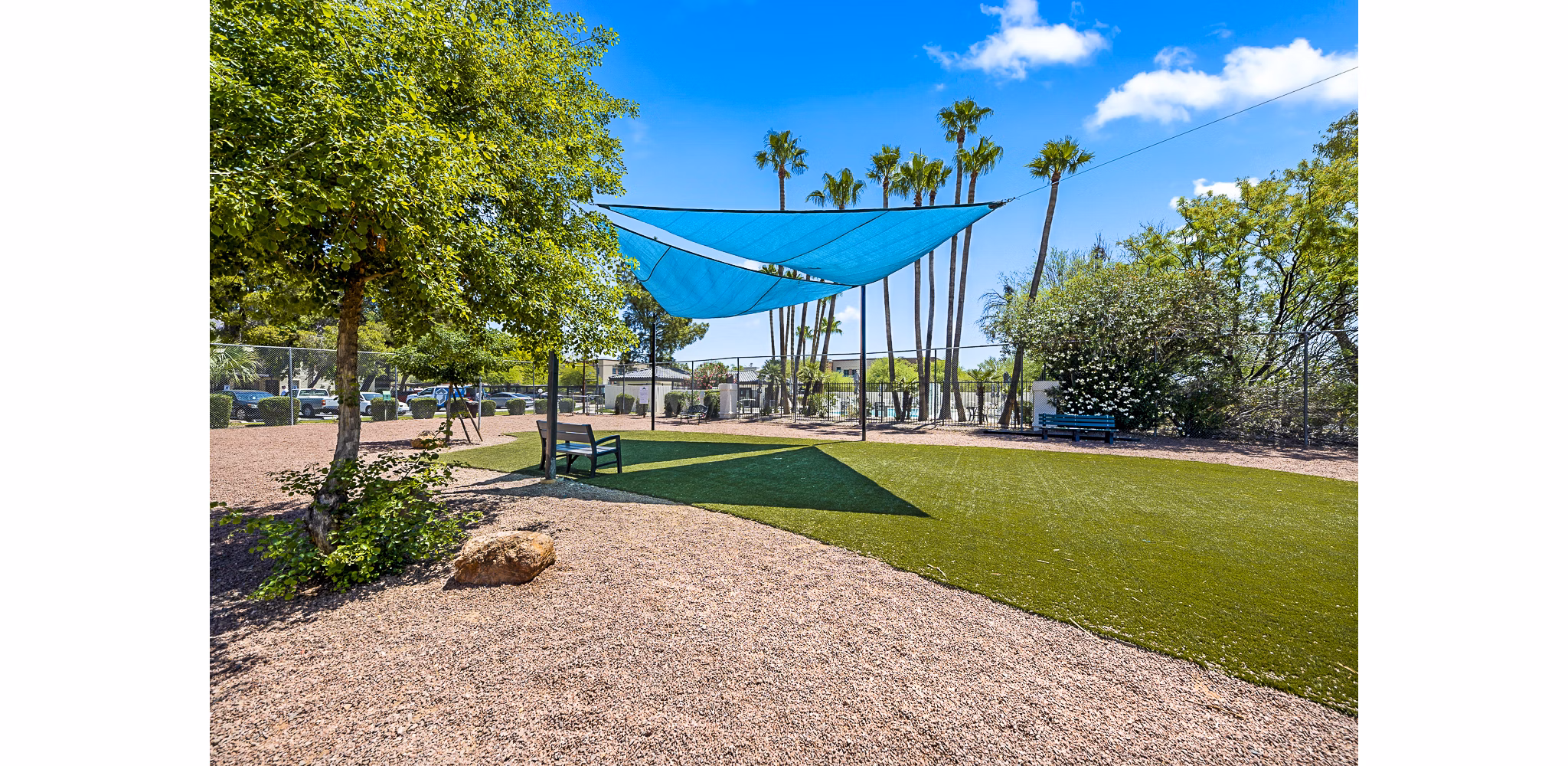 Leash-free dog park with agility course at ENVii Apartments