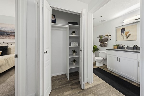 Spacious bedroom closet with ample storage in Tempe Station Apartments
