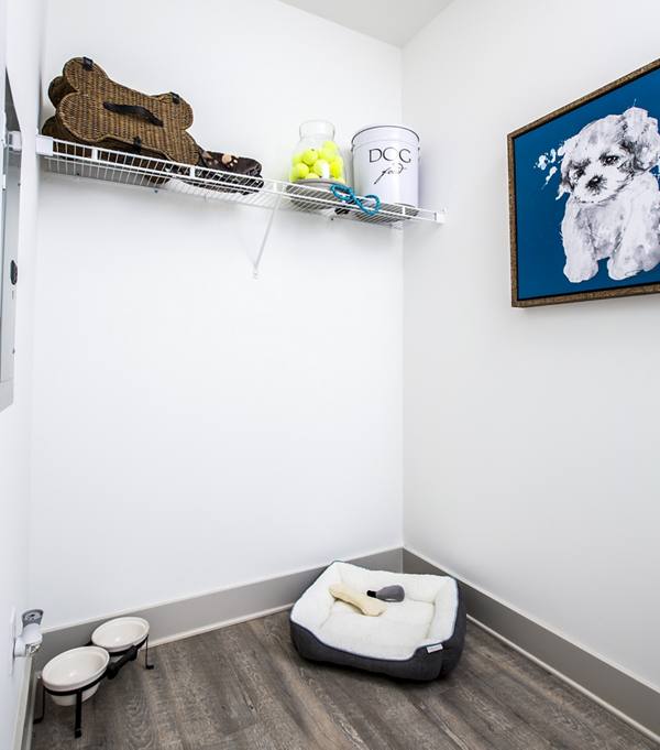 pet lounge/laundry room at Sixes Ridge Apartments