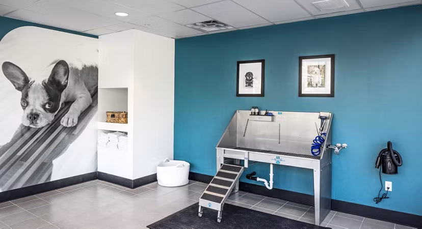 dog wash station at Astikos Lofts Apartments