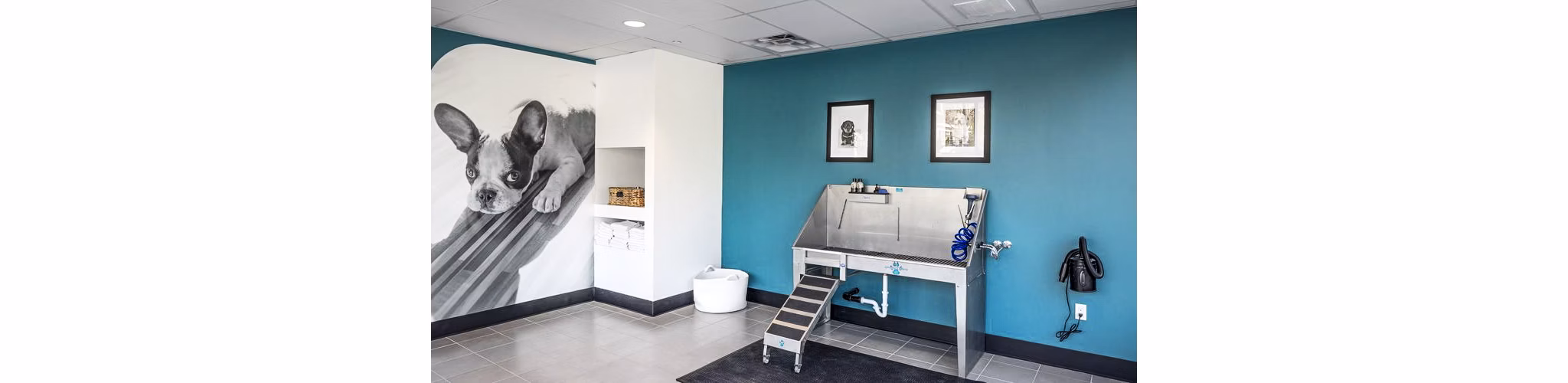 dog wash station at Astikos Lofts Apartments