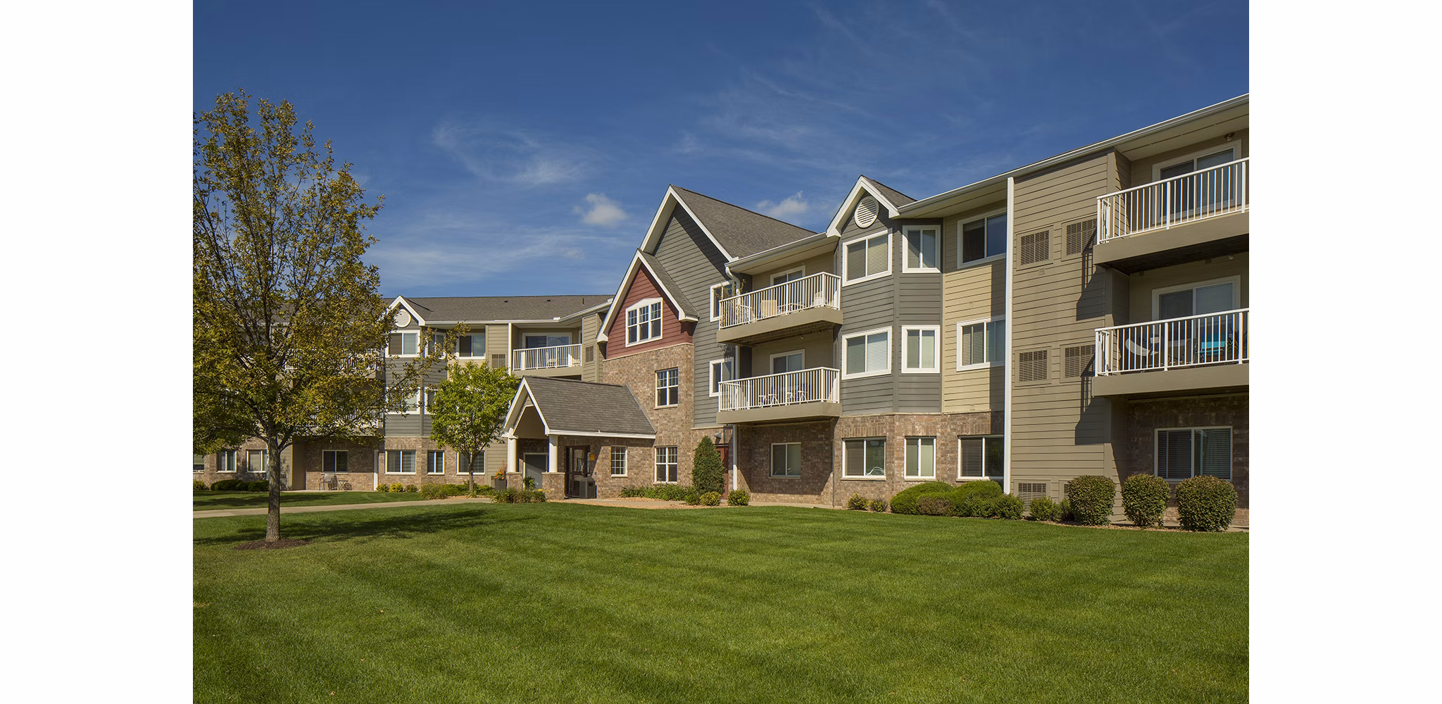 Avana Addison Apartments: Elegant showcasing modern architecture in a serene suburban setting