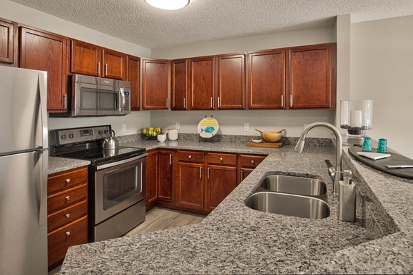 kitchen at Avana Addison Apartments