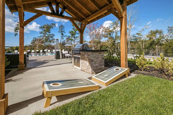 grill area at The Village at Westland Cove Apartments