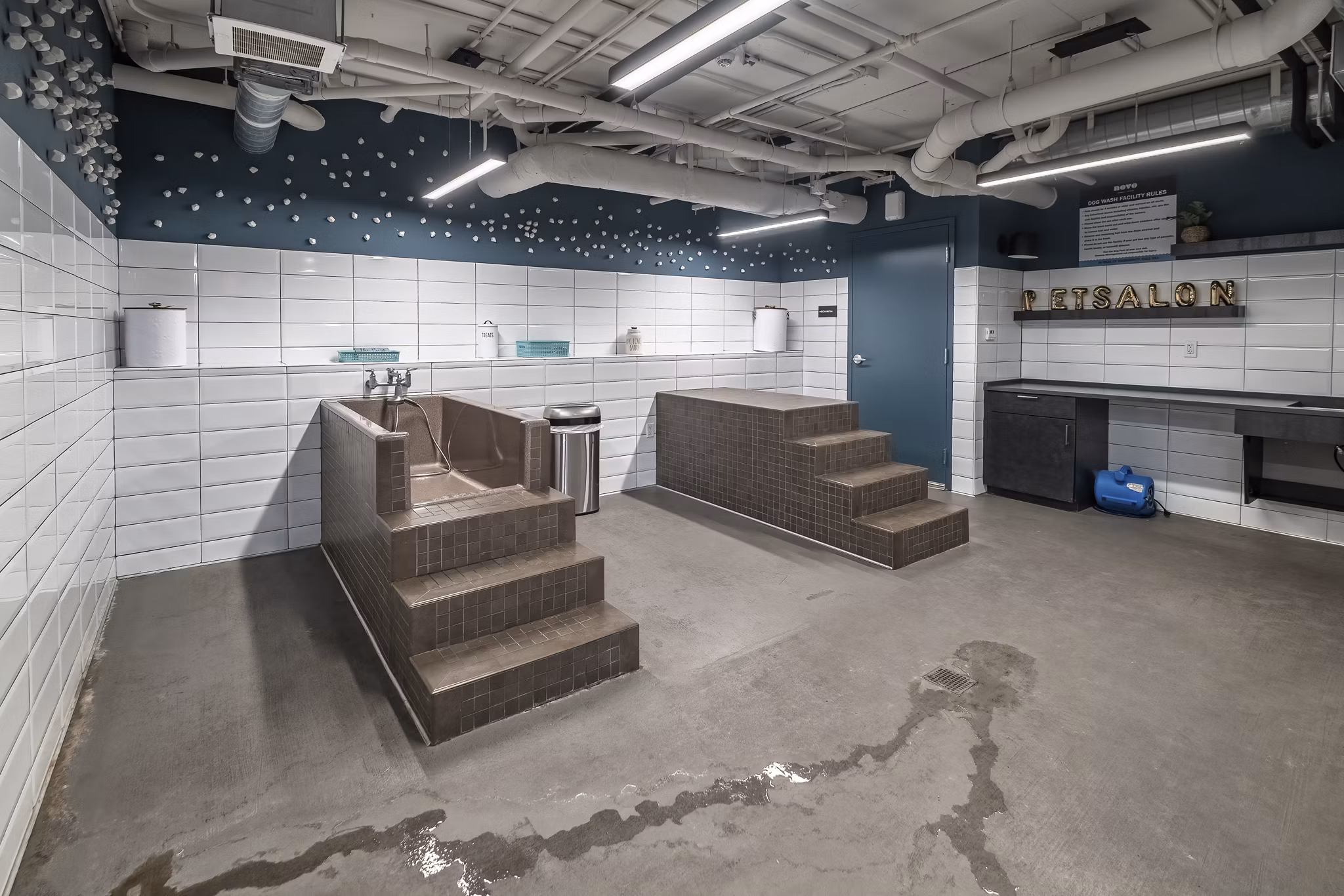 Dog wash station at NOVO Las Olas Apartments offering convenient pet care for residents Perfect amenity for dog owners living in luxury apartments