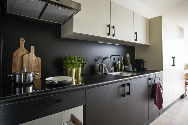 kitchen at OurDomain Amsterdam South East Apartments