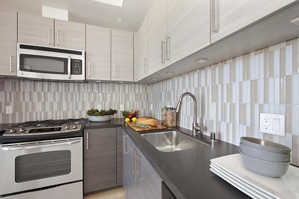 Modern kitchen with stainless steel appliances at 38 Dolores Apartments, a luxury property in a prime San Francisco location