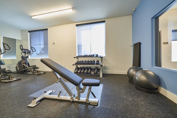 State-of-the-art fitness center with modern equipment at Alpine Vista Apartments, ideal for active lifestyles and wellness enthusiasts