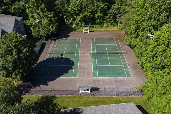 Outdoor sport court for basketball and tennis at Avana Avebury Apartments, offering active lifestyle amenities