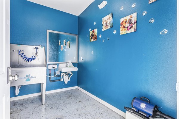 Convenient dog wash station at The Landing at Tiffany Springs Apartments, offering luxury pet amenities for residents