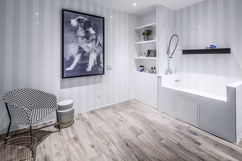 Dog wash station at Mercato Grove Apartments featuring modern amenities for pet care