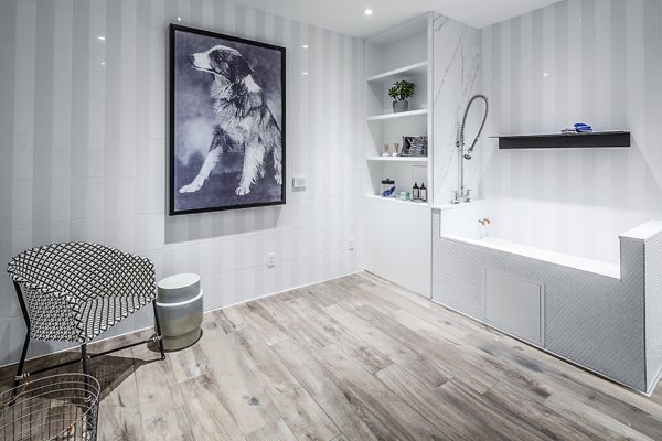 Dog wash station at Mercato Grove Apartments featuring modern amenities for pet care