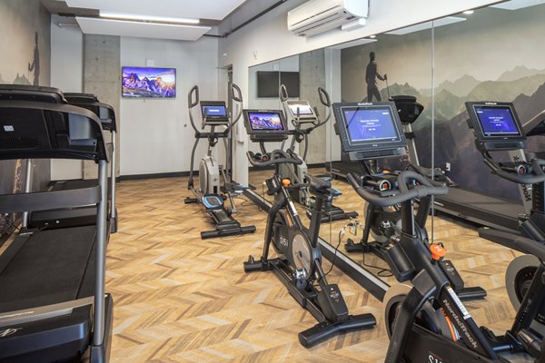 State-of-the-art fitness center at Aria Apartments featuring modern exercise equipment and spacious workout areas