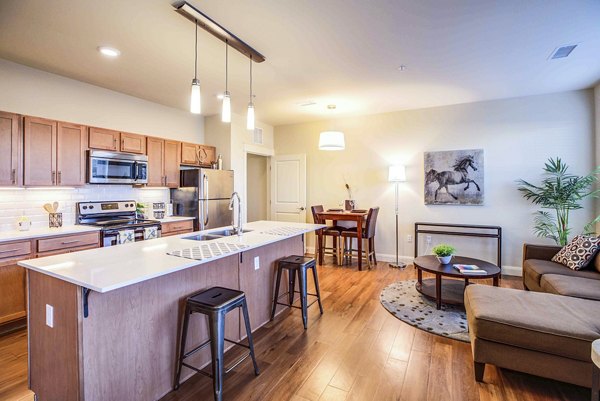 Modern kitchen with stainless steel appliances at Everleigh Central Park Apartments