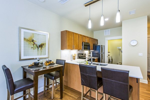Modern kitchen featuring sleek countertops and stainless steel appliances at Everleigh Central Park Apartments