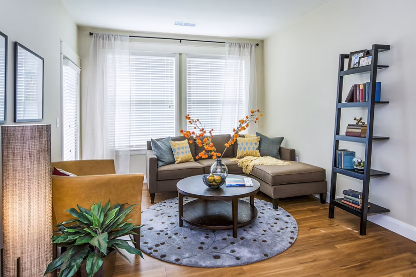 Cozy living room with modern furnishings at Everleigh Central Park Apartments