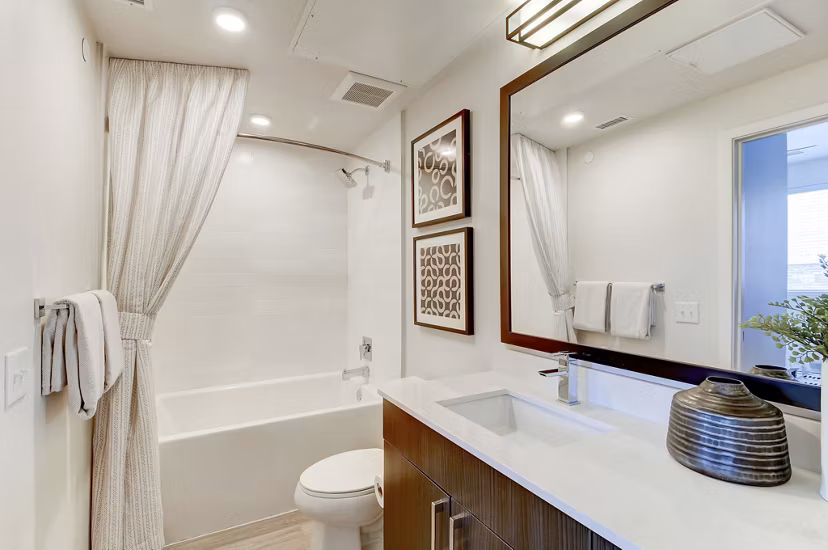 bathroom at Canvas on Blake Apartments 
