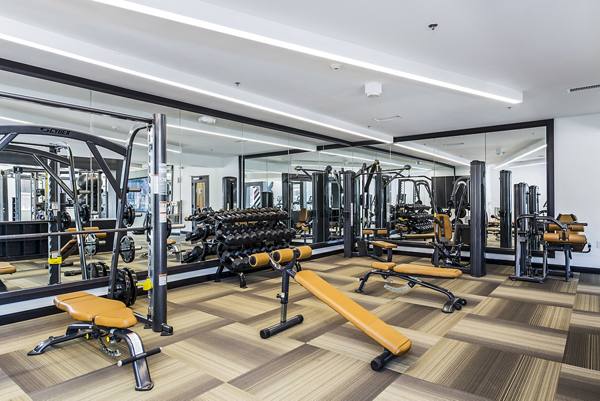 fitness center at Canvas on Blake Apartments