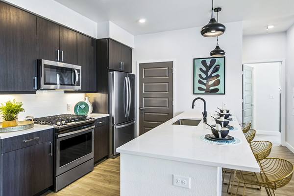 kitchen at Canvas on Blake Apartments